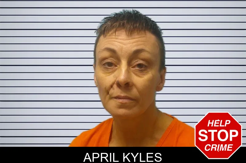 April Kyles mugshot