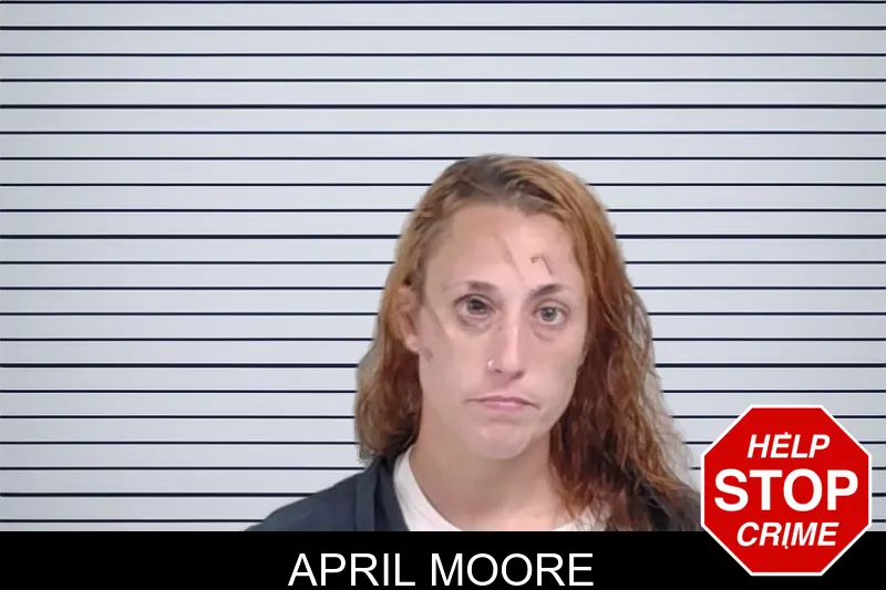 April Moore mugshot – Lowndes County , Georgia April Moore mugshot