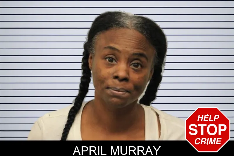 April Murray mugshot