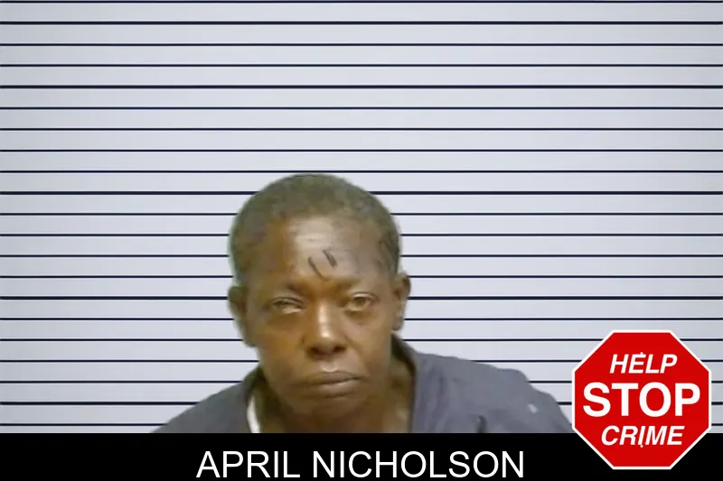 April Nicholson mugshot – Fulton County , Georgia April Nicholson mugshot