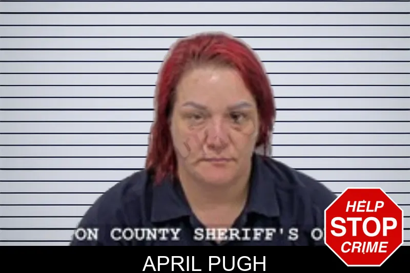 April Pugh mugshot – Walton County , Georgia April Pugh mugshot