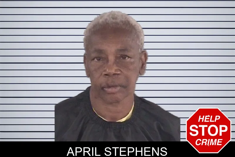 April Stephens mugshot – Spalding County , Georgia April Stephens mugshot
