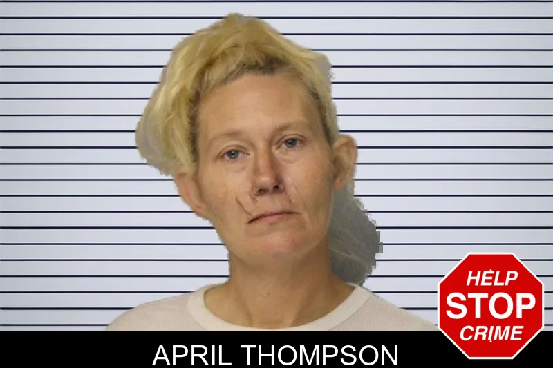 April Thompson mugshot – Hall County , Georgia April Thompson mugshot