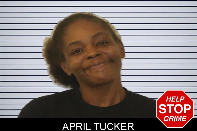 April Tucker mugshot – Johnson County , Georgia April Tucker mugshot