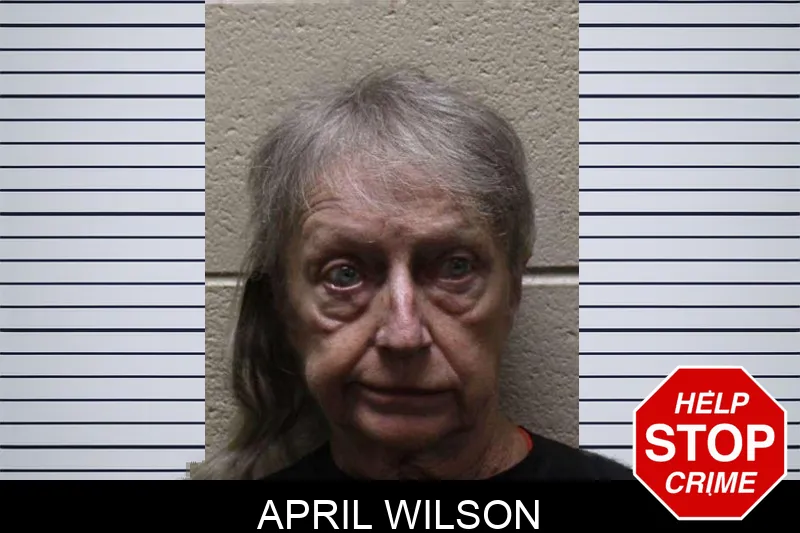 April Wilson mugshot – Haralson County , Georgia April Wilson mugshot