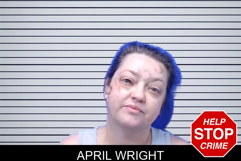 April Wright mugshot – Troup County , Georgia April Wright mugshot