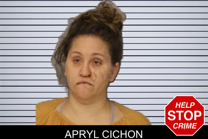 Apryl Cichon mugshot – Hall County , Georgia Apryl Cichon mugshot