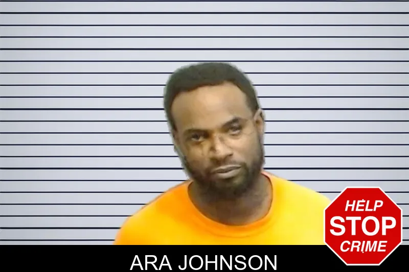 Ara Johnson mugshot – Fulton County , Georgia Ara Johnson mugshot