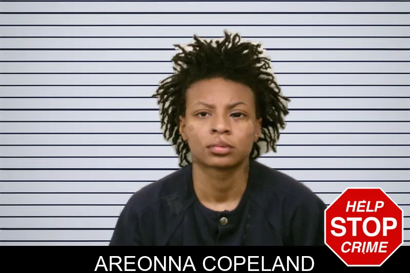 Areonna Copeland mugshot – Bulloch County , Georgia Areonna Copeland mugshot
