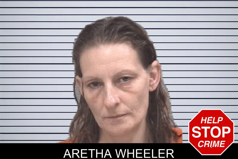 Aretha Wheeler mugshot – Columbia County , Georgia Aretha Wheeler mugshot