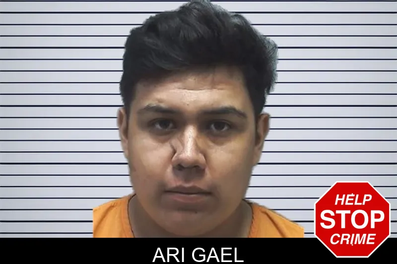 Ari Gael mugshot – Cherokee County , Georgia Ari Gael mugshot