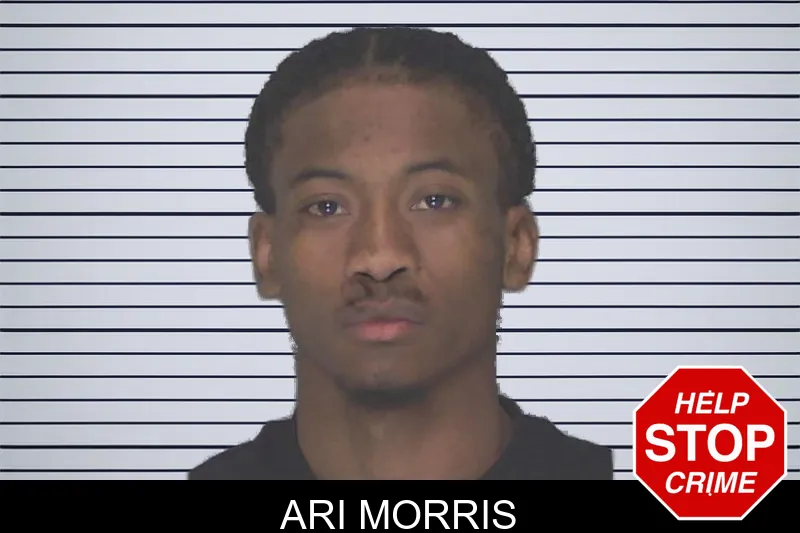 Ari Morris mugshot