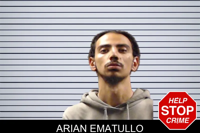 Arian Ematullo mugshot