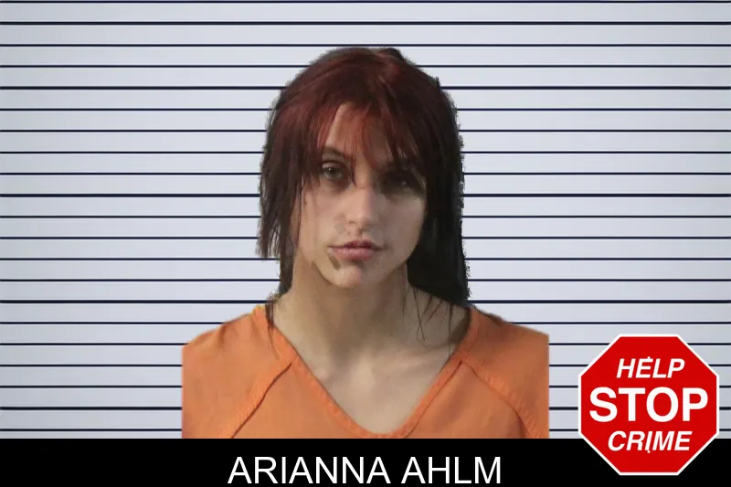 Arianna Ahlm mugshot