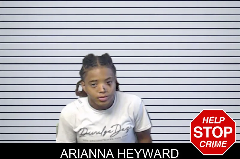 Arianna Heyward mugshot – DeKalb County , Georgia Arianna Heyward mugshot