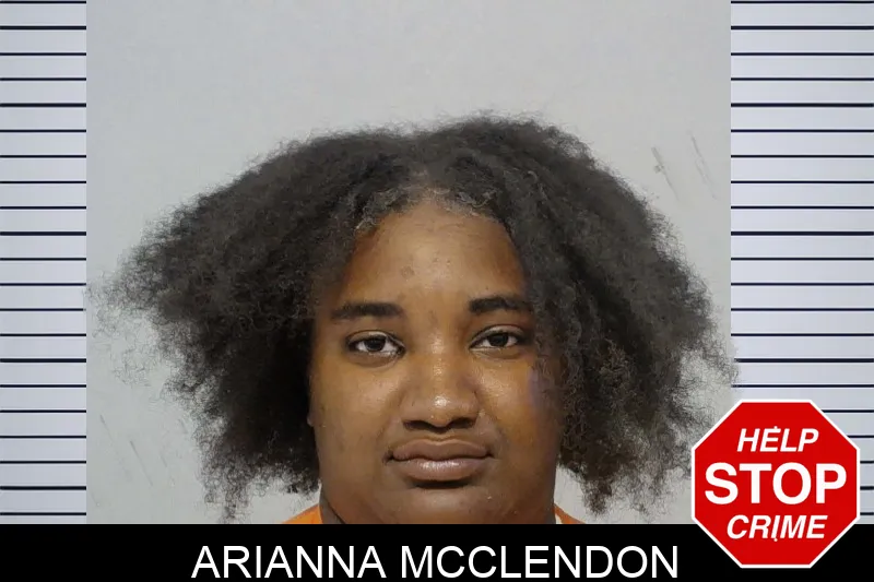 Arianna McClendon mugshot – Bibb County , Georgia Arianna McClendon mugshot