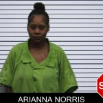 Arianna Norris mugshot – Turner County , Georgia Arianna Norris mugshot