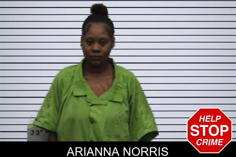 Arianna Norris mugshot – Turner County , Georgia Arianna Norris mugshot