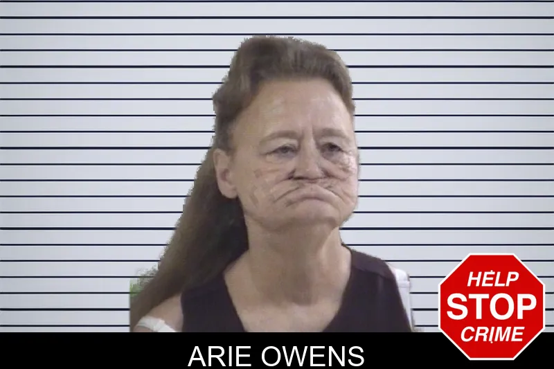 Arie Owens mugshot – Whitfield County , Georgia Arie Owens mugshot