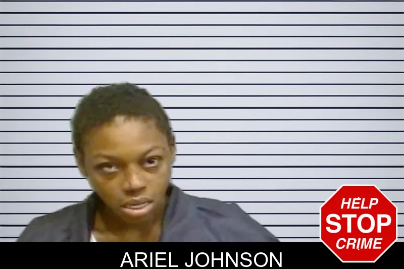 Ariel Johnson mugshot – Fulton County , Georgia Ariel Johnson mugshot