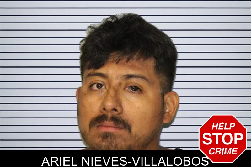 Ariel Nieves-Villalobos mugshot – Hall County , Georgia Ariel Nieves-Villalobos mugshot