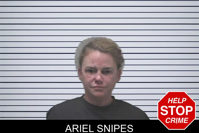 Ariel Snipes mugshot