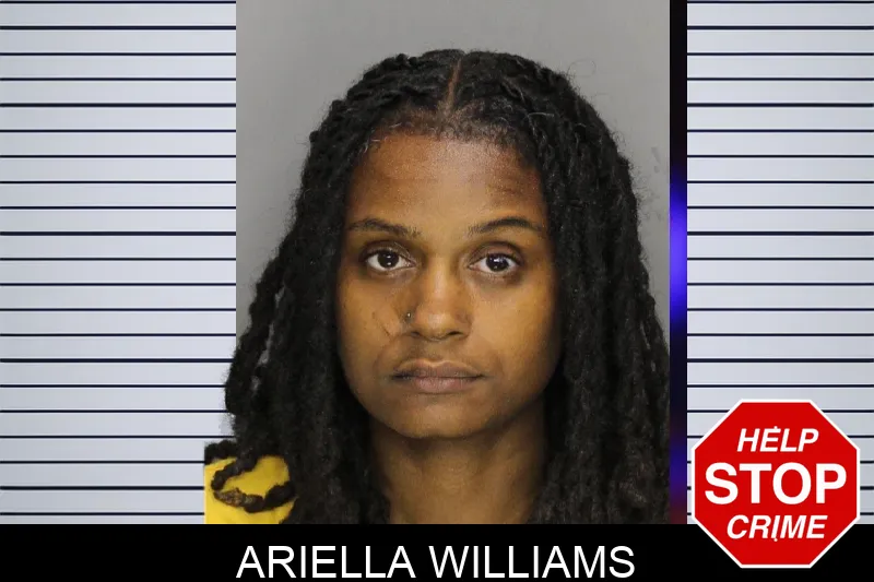 Ariella Williams mugshot – Cobb County , Georgia Ariella Williams mugshot