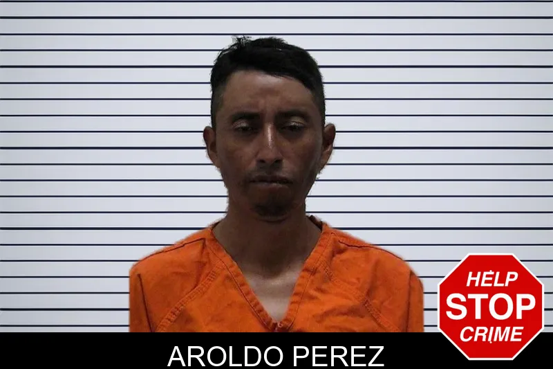 Aroldo Perez mugshot – Pierce County , Georgia Aroldo Perez mugshot