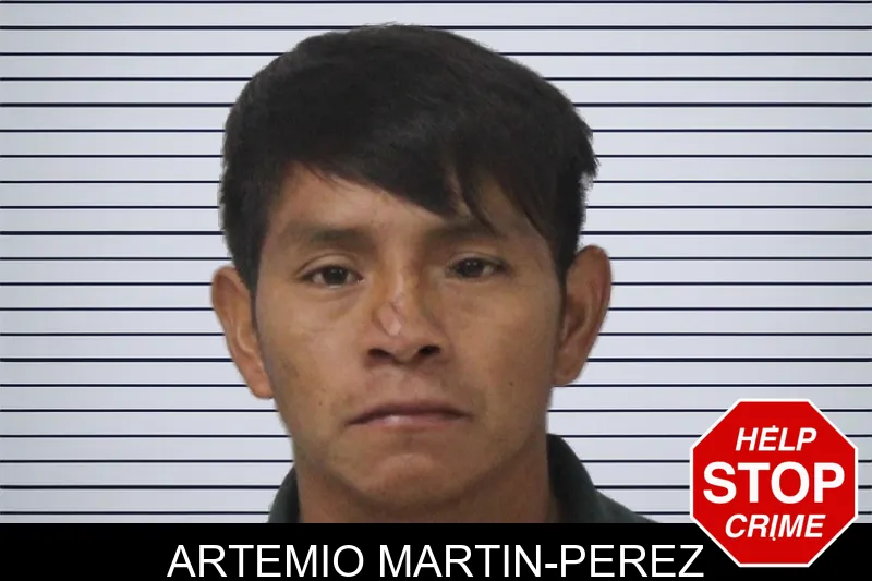 Artemio Martin-Perez mugshot – Mcintosh County , Georgia Artemio Martin-Perez mugshot