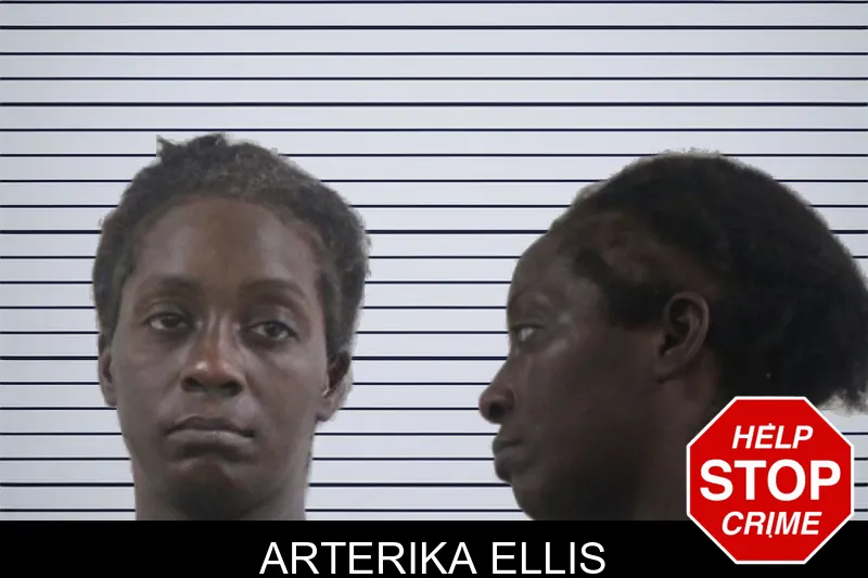 Arterika Ellis mugshot – Houston County , Georgia Arterika Ellis mugshot