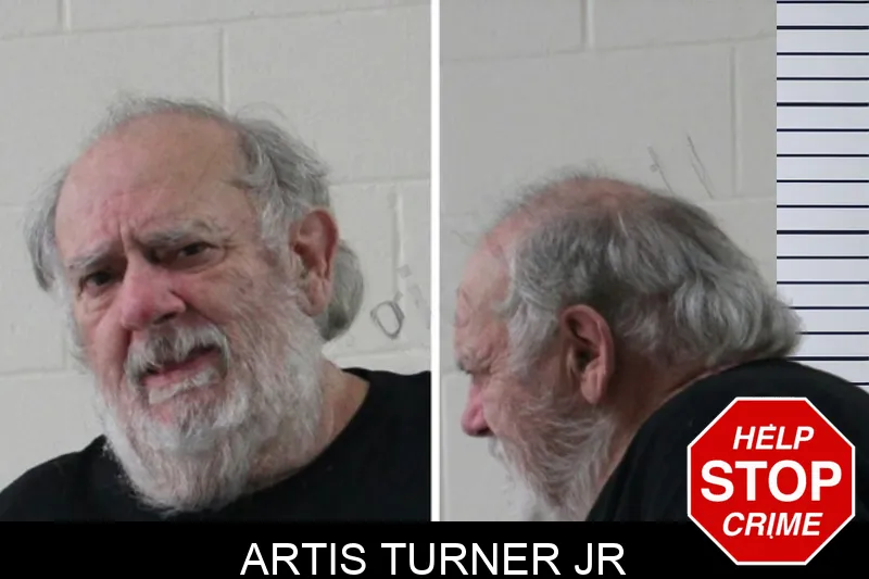 Artis Turner Jr mugshot