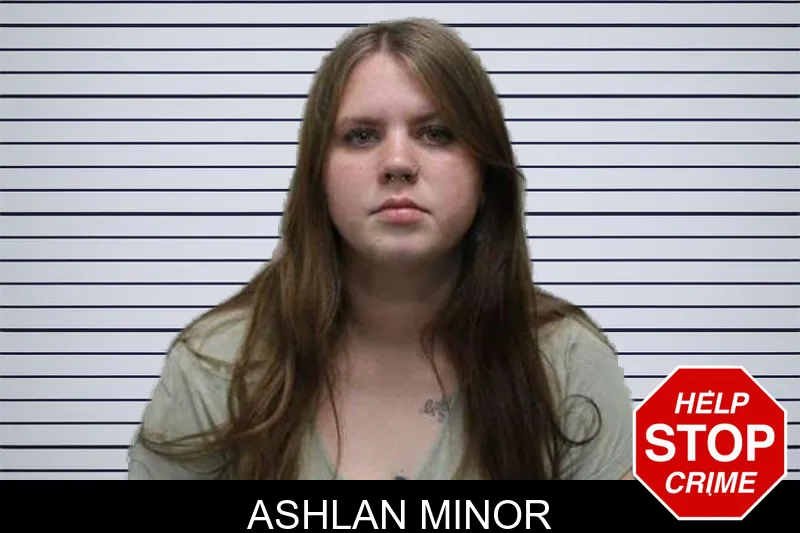 Ashlan Minor mugshot – Harris County , Georgia Ashlan Minor mugshot