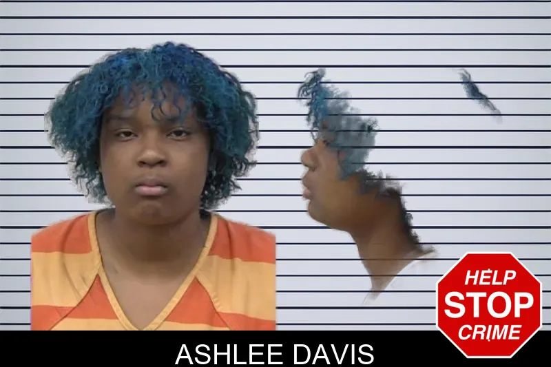 Ashlee Davis mugshot – Paulding County , Georgia Ashlee Davis mugshot