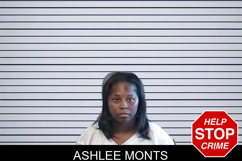 Ashlee Monts mugshot – DeKalb County , Georgia Ashlee Monts mugshot