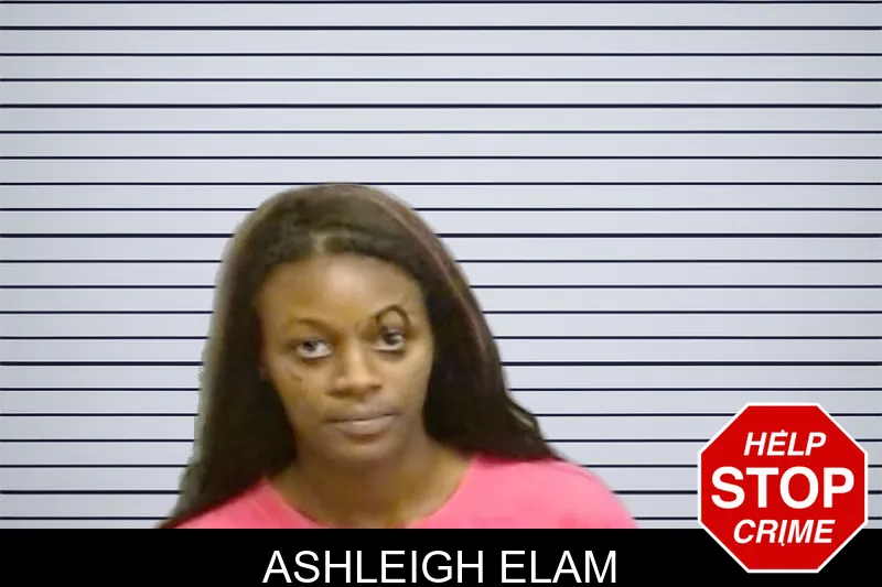 Ashleigh Elam mugshot – Fulton County , Georgia Ashleigh Elam mugshot