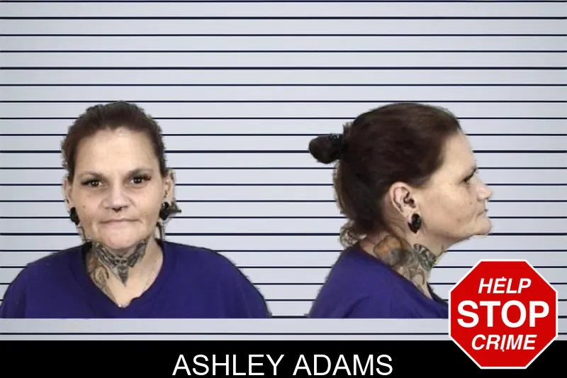 Ashley Adams mugshot – Camden County , Georgia Ashley Adams mugshot