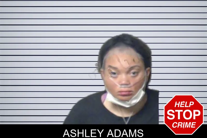 Ashley Adams mugshot