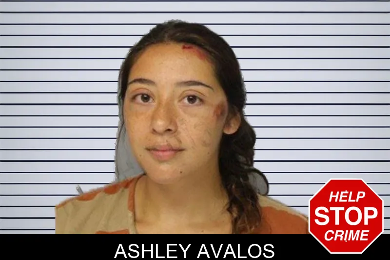 Ashley Avalos mugshot – Hall County , Georgia Ashley Avalos mugshot