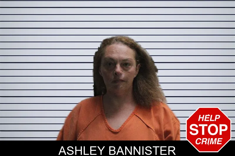 Ashley Bannister mugshot