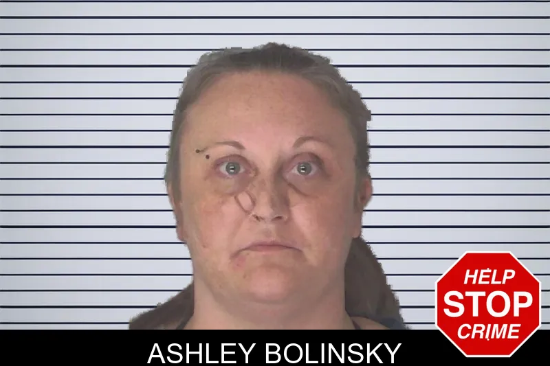 Ashley Bolinsky mugshot – Douglas County , Georgia Ashley Bolinsky mugshot