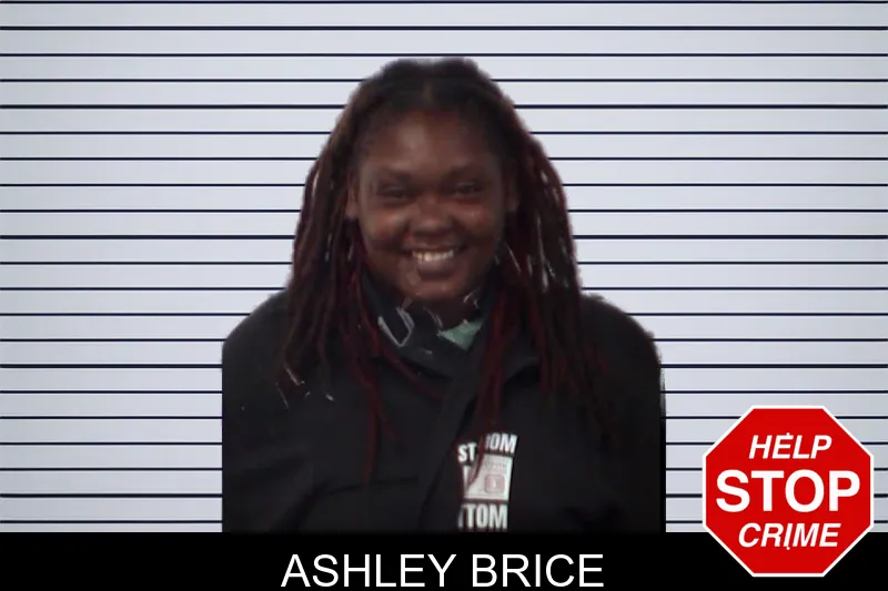 Ashley Brice mugshot