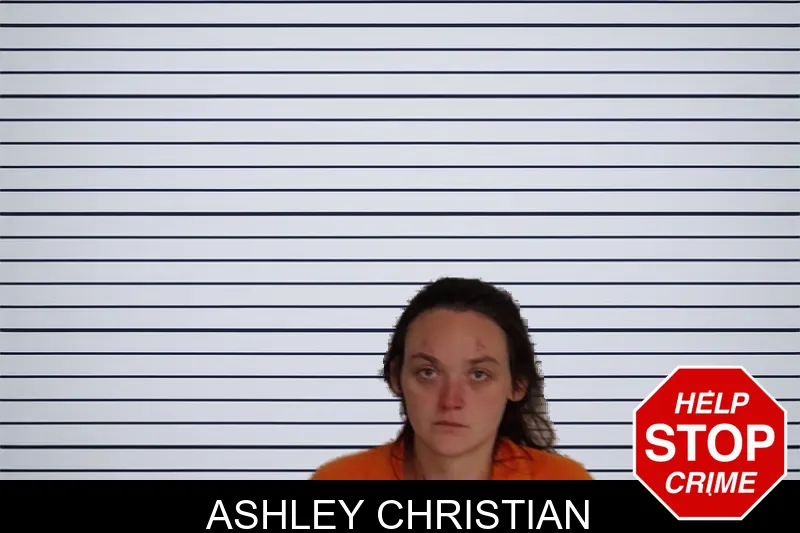 Ashley Christian mugshot – Rockdale County , Georgia Ashley Christian mugshot