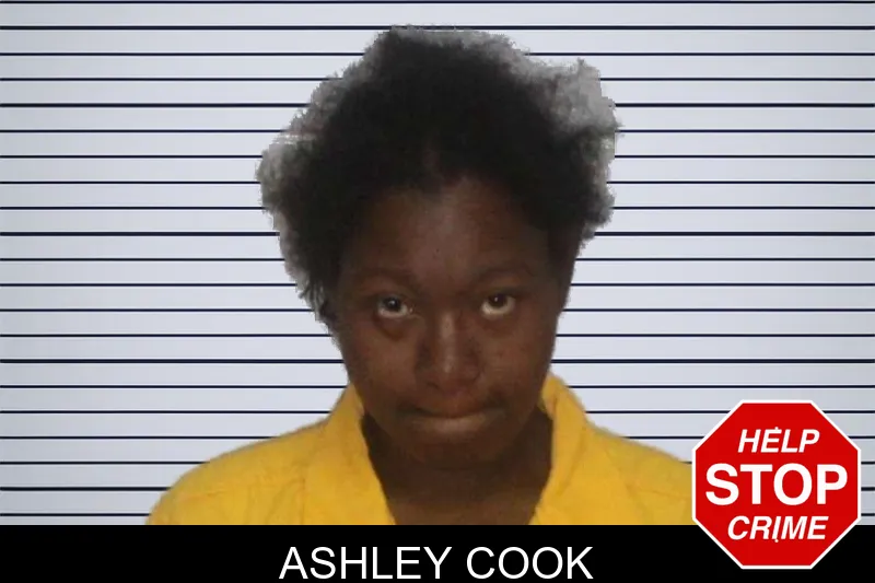 Ashley Cook mugshot – Morgan County , Georgia Ashley Cook mugshot