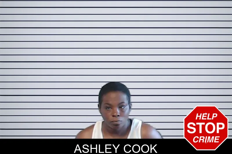 Ashley Cook mugshot – DeKalb County , Georgia Ashley Cook mugshot