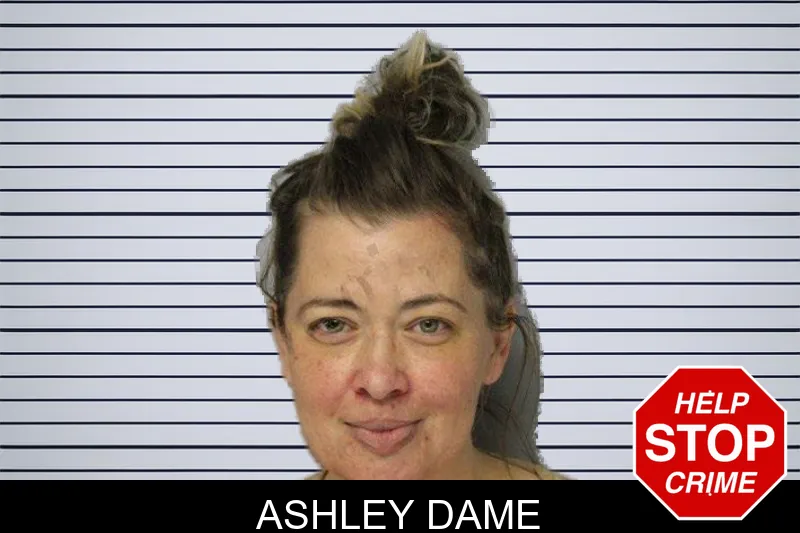 Ashley Dame mugshot
