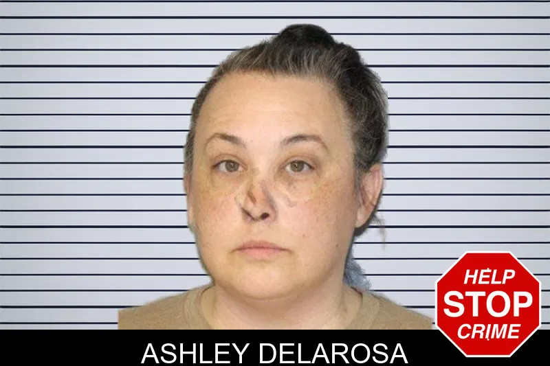 Ashley Delarosa mugshot – Hall County , Georgia Ashley Delarosa mugshot