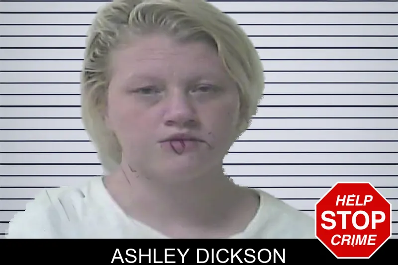Ashley Dickson mugshot – Oconee County , Georgia Ashley Dickson mugshot