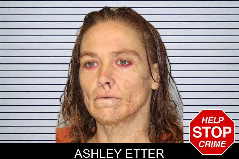 Ashley Etter mugshot – Hall County , Georgia Ashley Etter mugshot