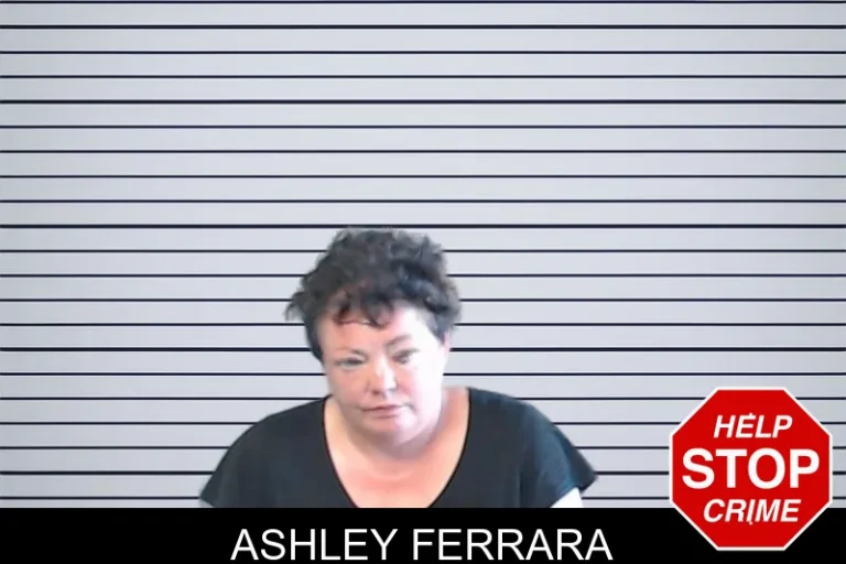 Ashley Ferrara