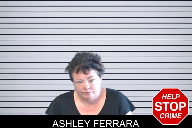 Ashley Ferrara mugshot – DeKalb County , Georgia Ashley Ferrara mugshot